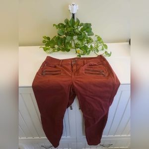 Torrid Plus Size Denim Jegging Zipper Pocket Design